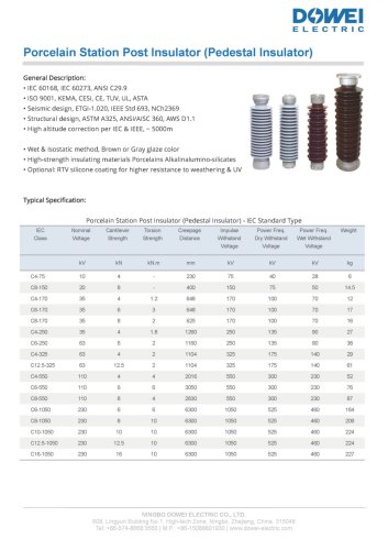 Porcelain Insulator