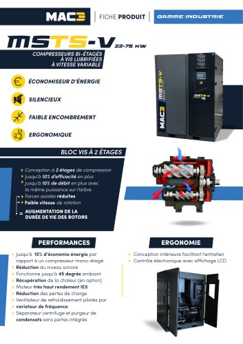 Fiche produit MSTS-V 22-75 kW
