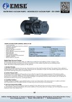 MONOBLOCK WATER RING VACUUM PUMP - ESV SERIES