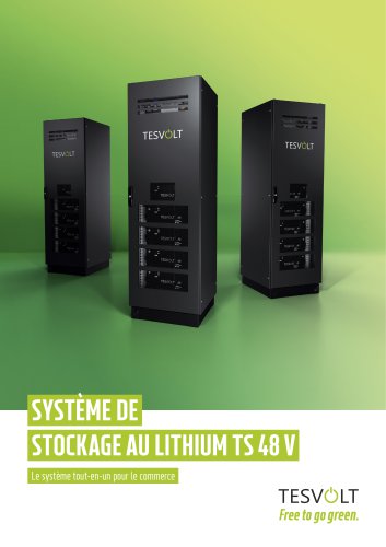 TS 48 V