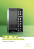 TS-I HV 80/100 E