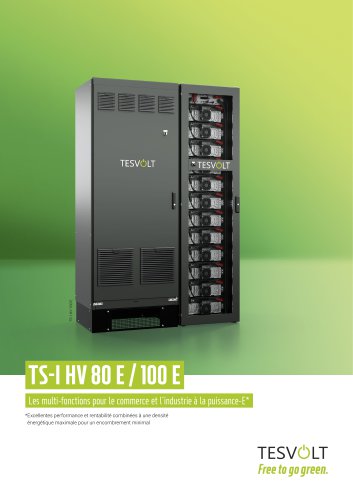 TS-I HV 80/100 E