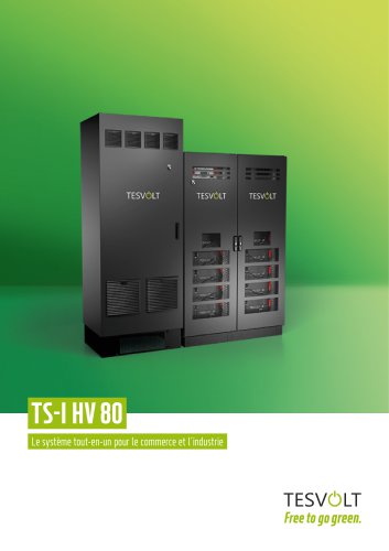 TS-I HV 80