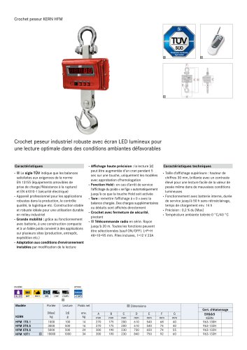 Crochet peseur KERN HFM