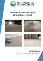 Présentation SSI