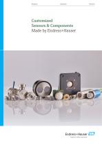 Customized Sensors & Components - Made by Endress+Hauser