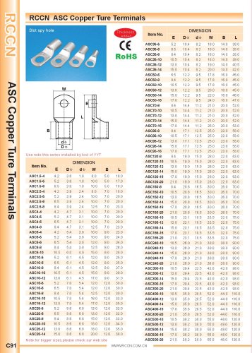 RCCN  ASC Copper Ture Terminals C91