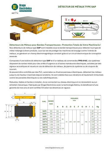 Détecteur de métaux type SAP