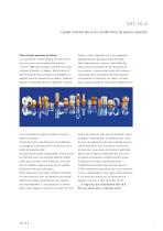 SAS 16.6 - 3