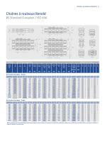 Chaînes à rouleaux Renold - 5