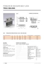 BOLT LOCK SYSTEM - 10