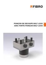 BOLT LOCK SYSTEM - 1