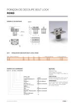 BOLT LOCK SYSTEM - 7