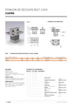 BOLT LOCK SYSTEM - 8