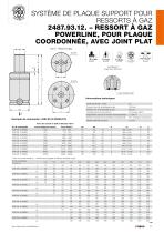 SYSTÈME DE PLAQUE SUPPORT POUR RESSORTS À GAZ - 11