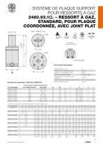 SYSTÈME DE PLAQUE SUPPORT POUR RESSORTS À GAZ - 7