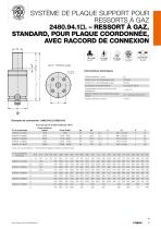 SYSTÈME DE PLAQUE SUPPORT POUR RESSORTS À GAZ - 9