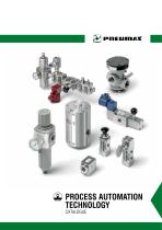 PROCESS AUTOMATION