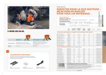 SCIES FEIN-6