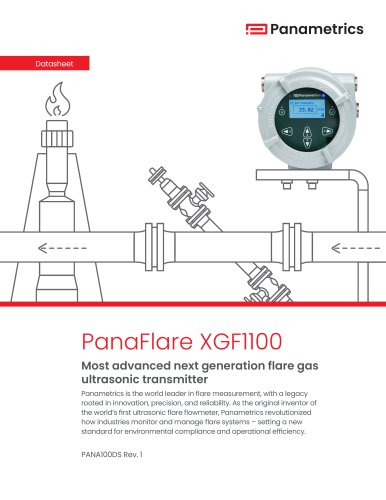 PanaFlare XGF1100