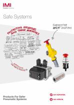 Safe Systems