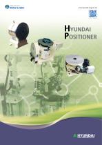 Hyundai positioner