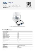 Système de pesée automatique AK6.510.5Y.F