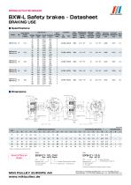 BXW Model datasheets