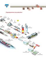 Mesures de forces & pesage en Sidéerurgie - 5