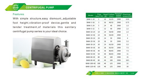 centrifugal pump