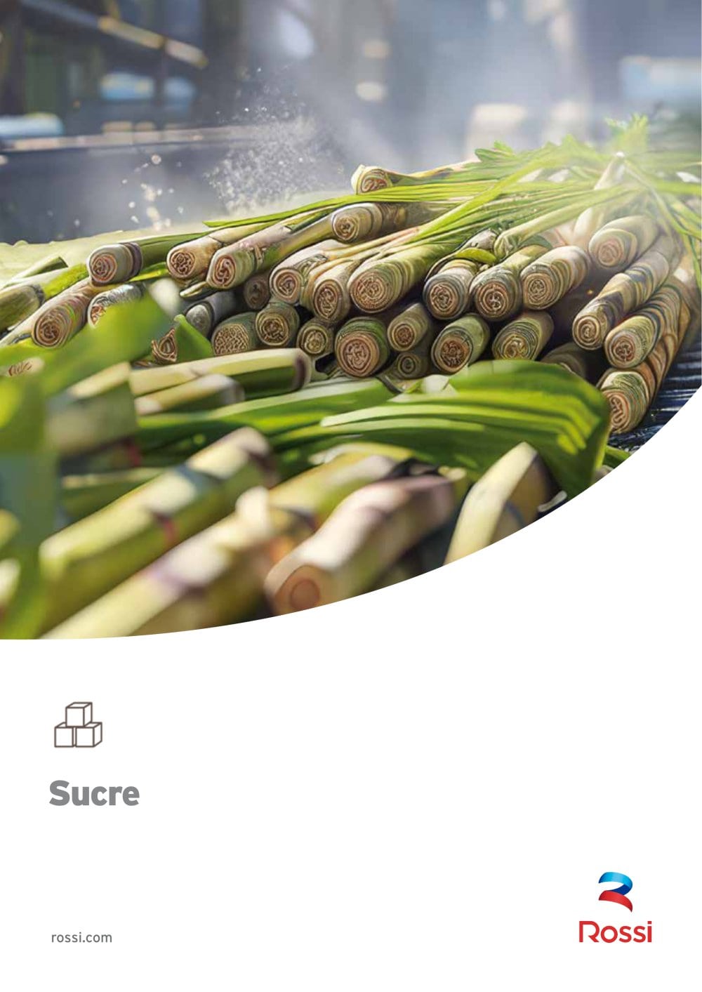 Sugar industry FR - Rossi S.p.A.