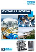 COMPRESSEURS INDUSTRIELS PERSONNALISÉS POUR RÉPONDRE À VOS EXIGENCES