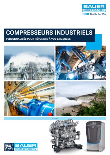 COMPRESSEURS INDUSTRIELS PERSONNALISÉS POUR RÉPONDRE À VOS EXIGENCES