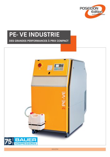 PE- VE INDUSTRIE 2024