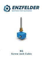 ENZFELDER GmbH spindle gear cubic BG type