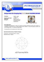 Gauge Plate for Gauging Pig