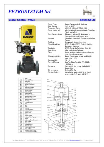 Globe Control Valve