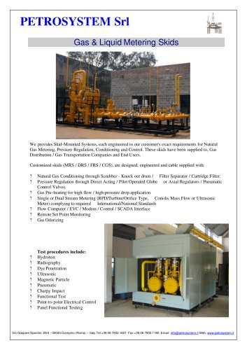 Metering Skid for gas and liquids