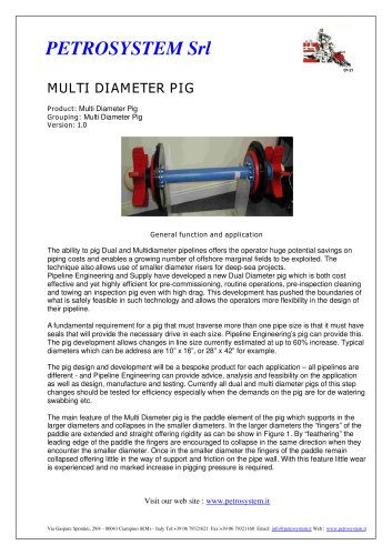 Multidiameter Pig