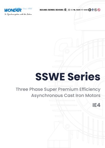 SSWE Series (IE4) Super Premium Efficiency Three Phase Asynchronous Induction Cast Iron Motor