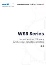 WSR Series (IE4) Super Premium Efficiency Synchronous Reluctance Motors