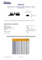 RESISTANCES MINITUBULAIRES SPIRALEE POUR BUSES D'INJECTION - 2