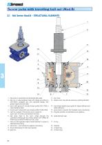 Screw jacks with travelling ball nut (Mod.B)