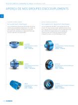 ACCOUPLEMENTS FLENDER-8