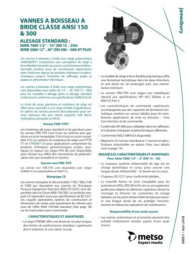 Series 9000  6000 Flanged Ball Valves