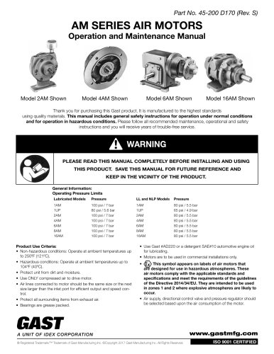 AM SERIES AIR MOTORS