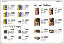 INTERNATION BRAND BATTERY BROCHURE - 11