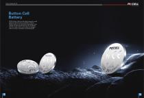INTERNATION BRAND BATTERY BROCHURE - 12