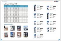 INTERNATION BRAND BATTERY BROCHURE - 13