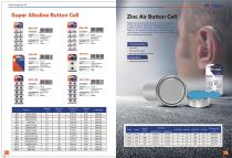 INTERNATION BRAND BATTERY BROCHURE - 14